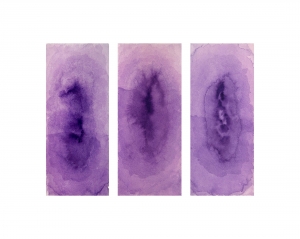 Halbvoll violett (viola mezzo pieno)